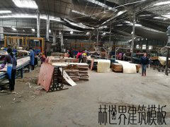 林世界建筑模板生產(chǎn)流水線